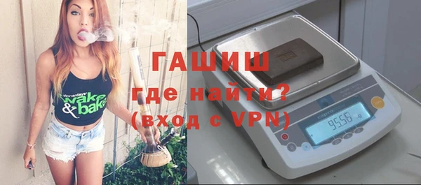 PSILOCYBIN Бородино
