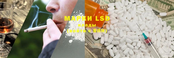 PSILOCYBIN Бородино