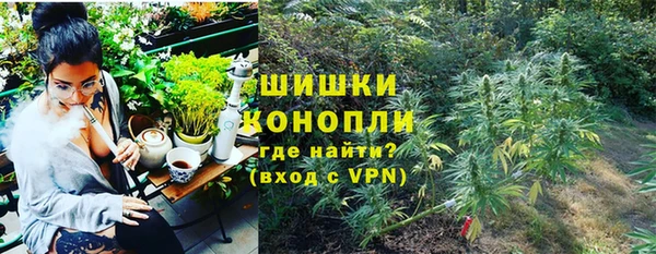 PSILOCYBIN Бородино