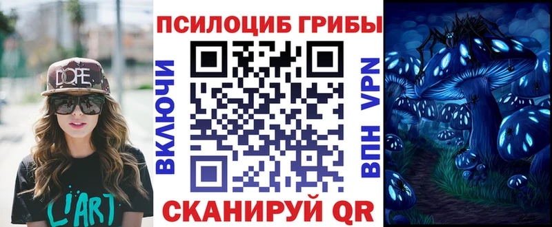 Галлюциногенные грибы Psilocybine cubensis  где продают   Белогорск 